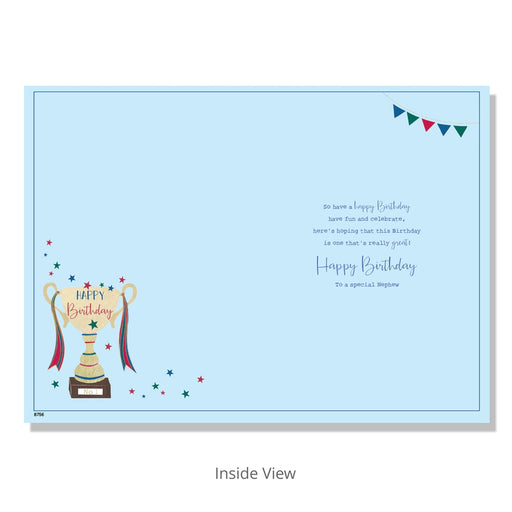 Wonderful Nephew Birthday Card - Bumbletree Ltd