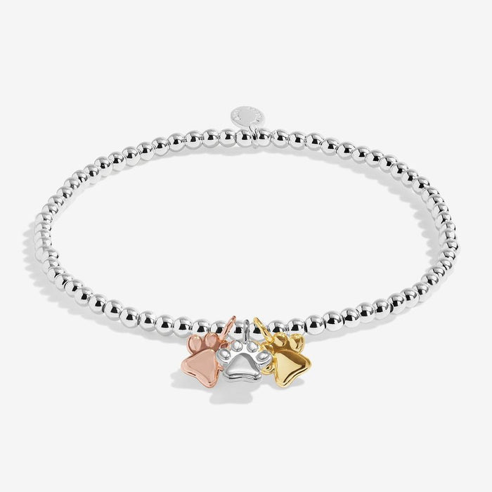 Joma Jewellery A Little Charmed Moments 'Perfect Paw Print' Bracelet