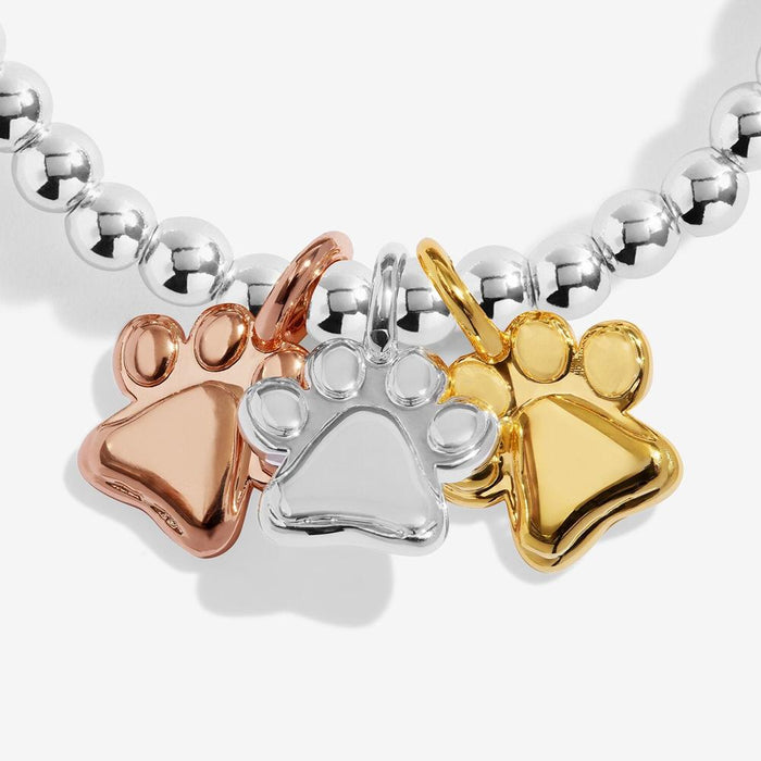 Joma Jewellery A Little Charmed Moments 'Perfect Paw Print' Bracelet
