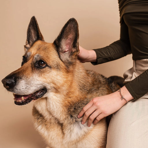 Clogau Paw Prints Silver Heart Affinity Bracelet - Jewellery - Clogau - Bumbletree