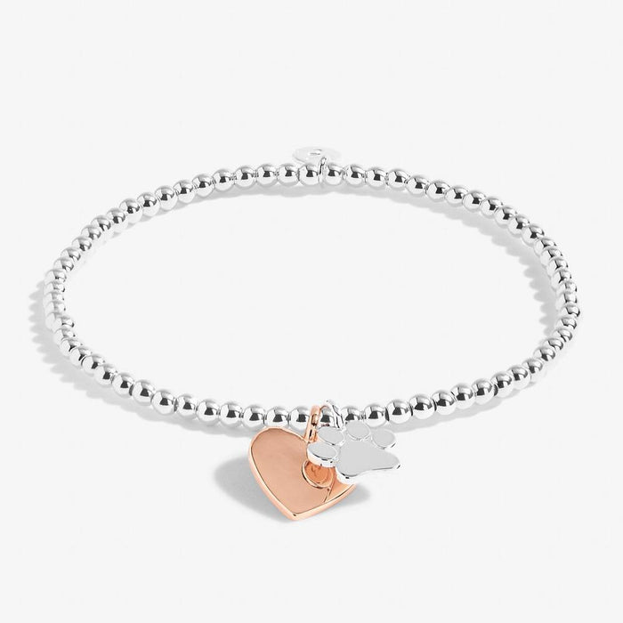 Joma Jewellery A Little 'Puppy Love' Bracelet - Jewellery - Joma Jewellery - Bumbletree