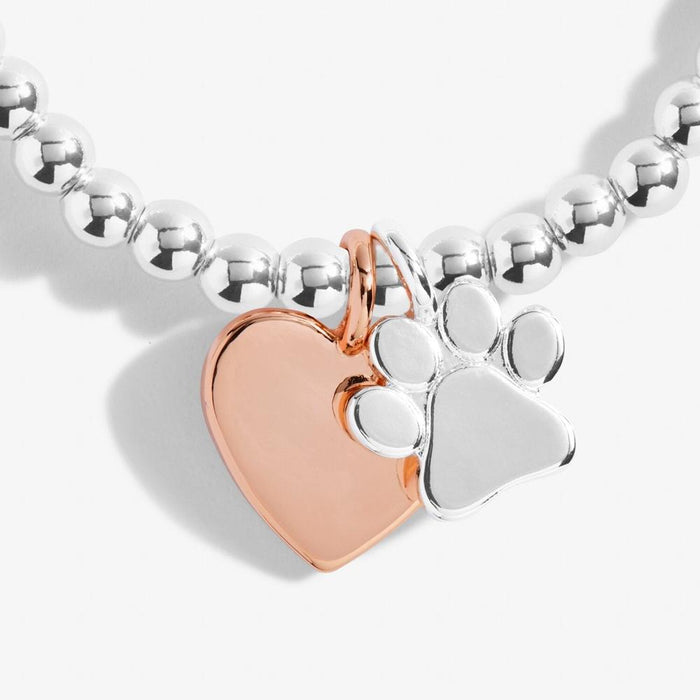 Joma Jewellery A Little 'Puppy Love' Bracelet - Jewellery - Joma Jewellery - Bumbletree