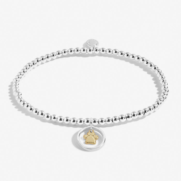 Joma Jewellery Boxed A Little 'Pets Leave Pawprints On Our Hearts' Bracelet - Jewellery - Joma Jewellery - Bumbletree
