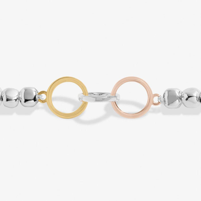 Joma Jewellery Forever Yours 'Family Forever Together' Trio Bracelet - Jewellery - Joma Jewellery - Bumbletree
