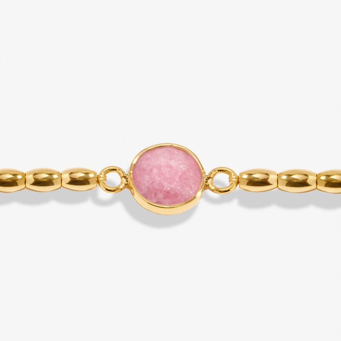 Joma Jewellery Serenity Stones Watermelon Quartz Gold Bracelet - Jewellery - Joma Jewellery - Bumbletree