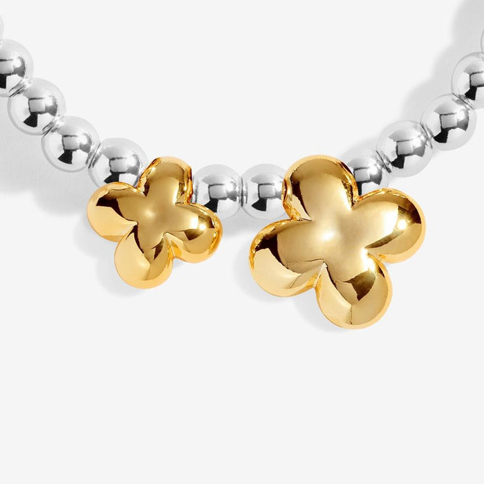 Joma Jewellery Boxed A Little 'Good Luck' Bracelet - Jewellery - Joma Jewellery - Bumbletree