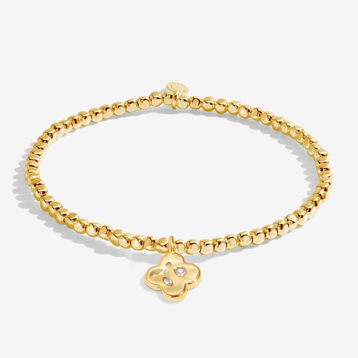 Joma Jewellery Dolce Vita 'Make Your Own Luck' Bracelet - Jewellery - Joma Jewellery - Bumbletree