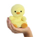 Aurora Palm Pals Betsy Chick Soft Toy - Plush - Aurora - Bumbletree