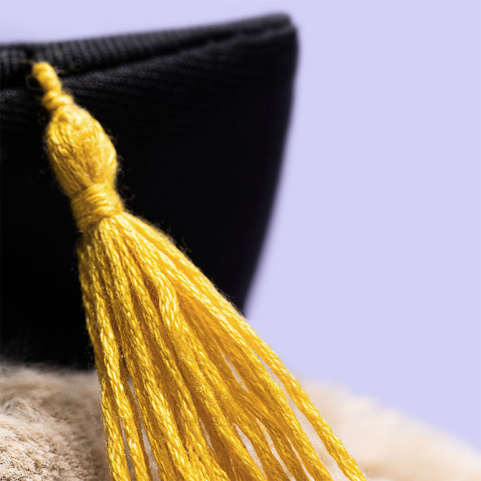 Jellycat Bashful Bunny Graduation Outfit - Plush - Jellycat - Bumbletree