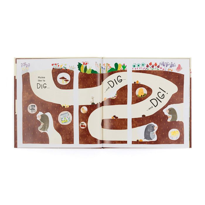 Jellycat Muswell Mole and the Buried Treasure Book - Plush - Jellycat - Bumbletree