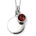 January Crystal Birthstone Pendant - Jewellery - Bumbletree - Bumbletree