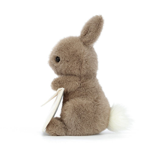 Jellycat Messenger Bunny - Plush - Jellycat - Bumbletree