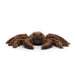 Jellycat Spindleshanks Spider - Plush - Jellycat - Bumbletree