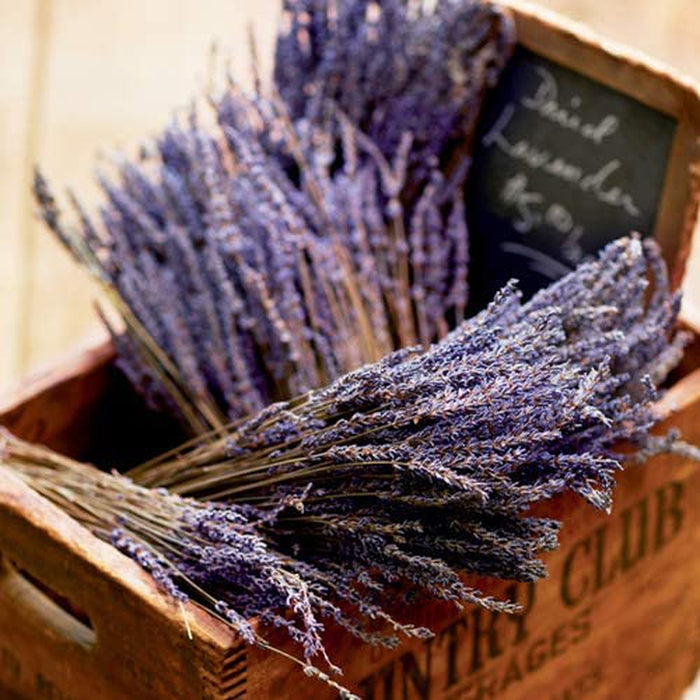 Yankee Candle Dried Lavender & Oak Plug In Refills - Bumbletree Ltd