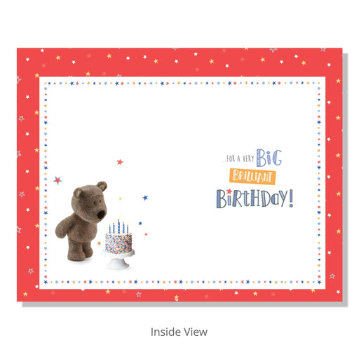 Great Nephew Birthday Card - Bumbletree Ltd