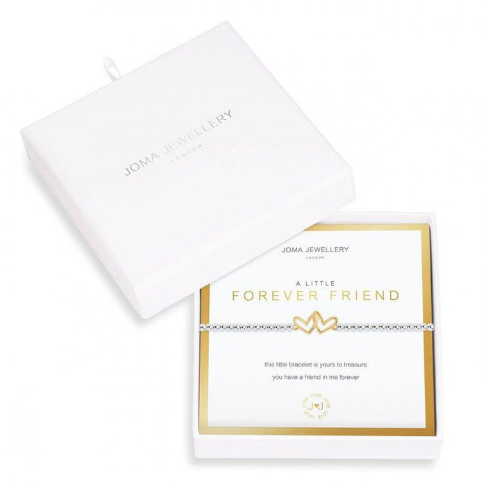 BEAUTIFULLY BOXED A LITTLES FOREVER FRIEND - Bumbletree Ltd