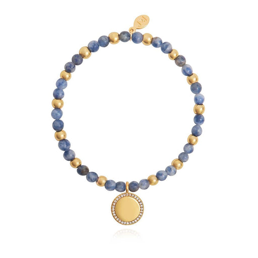 WELLNESS GEMS BLUE LACE AGATE BRACELET - Bumbletree Ltd
