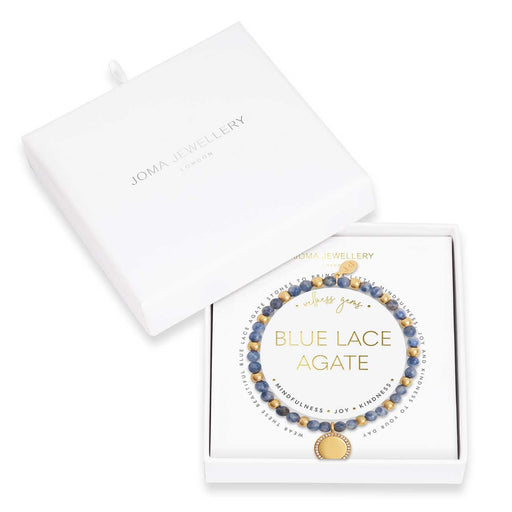 WELLNESS GEMS BLUE LACE AGATE BRACELET - Bumbletree Ltd