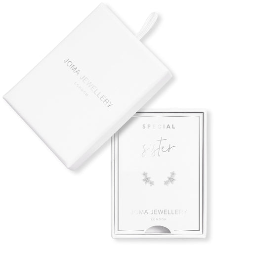 TREASURE THE LITTLE THINGS SPECIAL SISTER EARRING BOX - Bumbletree Ltd