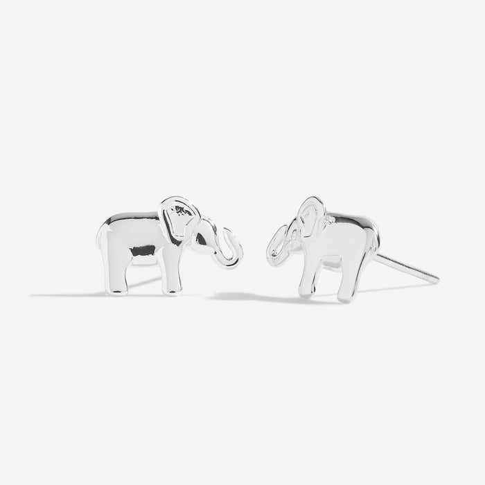 Treasure The Little Things 'Lucky Elephant' Earring Box - Bumbletree Ltd