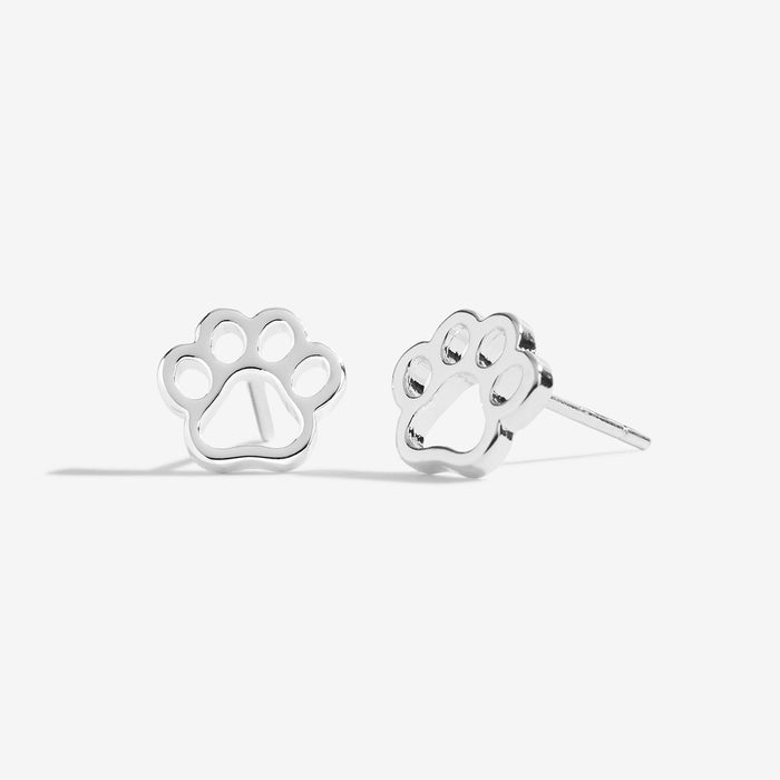 Treasure The Little Things 'Love Has Four Paws' Earring Box - Bumbletree Ltd