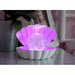 Sea Shell LED Colour Changing Mood Lamp - Silver Metallic - Homeware - Bumbletree - Bumbletree