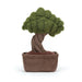 Jellycat Amuseable Bonsai Tree - Plush - Jellycat - Bumbletree