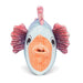 Jellycat Fishiful Blue - Plush - Jellycat - Bumbletree