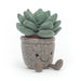 Jellycat Silly Succulent Azulita - Plush - Jellycat - Bumbletree