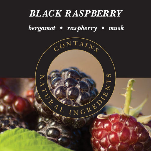 ASHLEIGH & BURWOOD: FRAGRANCE OIL - BLACK RASPBERRY - Bumbletree Ltd