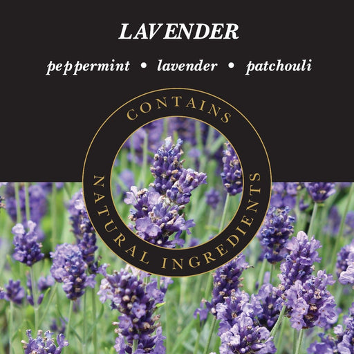 ASHLEIGH & BURWOOD: FRAGRANCE OIL - LAVENDER - Bumbletree Ltd